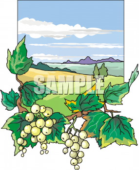 Farm Produce Clipart