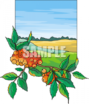 Farm Produce Clipart