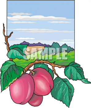 Farm Produce Clipart