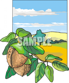 Farm Produce Clipart