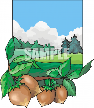 Farm Produce Clipart