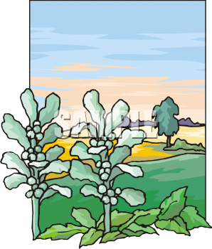 Farm Produce Clipart