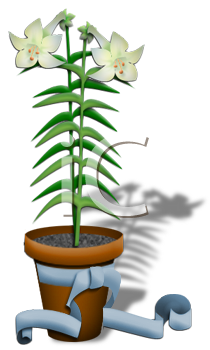 Flower Clipart