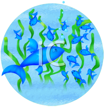 Fish and Sea Life Clipart