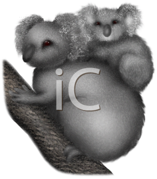 Marsupial Clipart