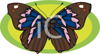 Insect Clipart