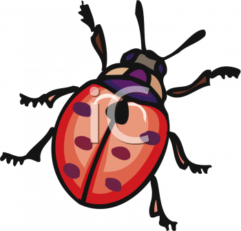 Insect Clipart