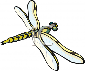 Free+dragonfly+artwork