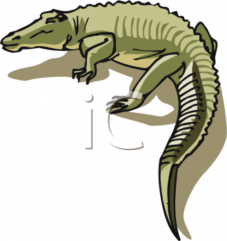 Reptile Clipart