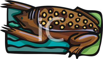 Amphibians Clipart