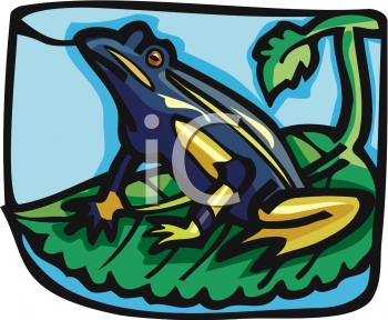 Amphibians Clipart