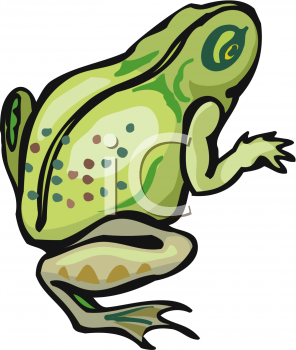 Amphibians Clipart