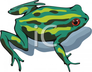 Amphibians Clipart