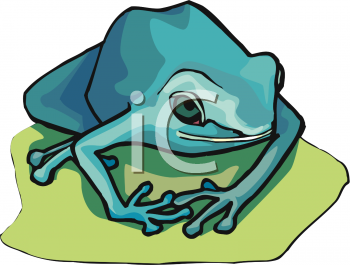 Amphibians Clipart