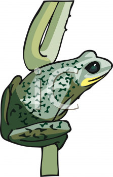 Amphibians Clipart