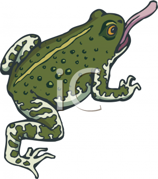 Amphibians Clipart