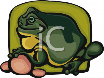 Amphibians Clipart