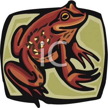 Amphibians Clipart