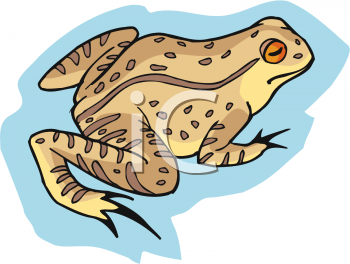 Amphibians Clipart