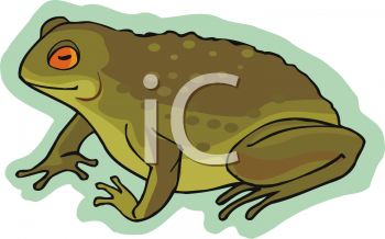 Amphibians Clipart