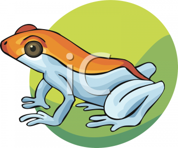 Amphibians Clipart