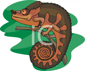 Reptile Clipart