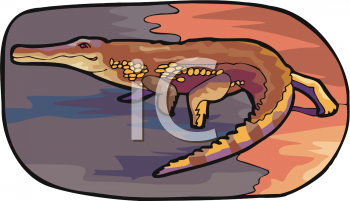 Reptile Clipart