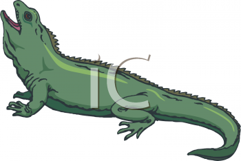 Reptile Clipart