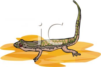 Lizard Clipart