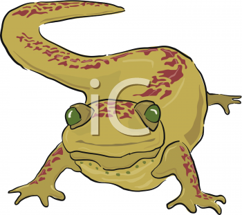 Reptile Clipart