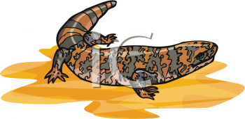 Reptile Clipart