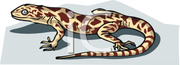 Reptile Clipart