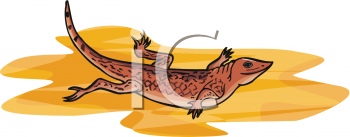 Lizard Clipart