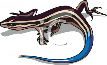 Lizard Clipart