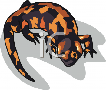 Reptile Clipart