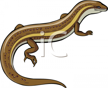 Reptile Clipart