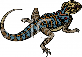 Reptile Clipart