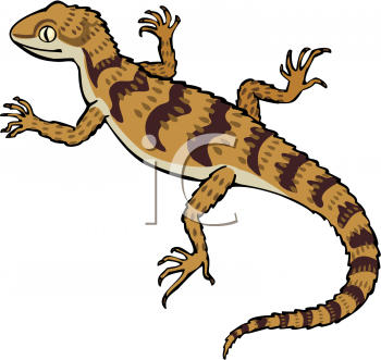 Lizard Clipart