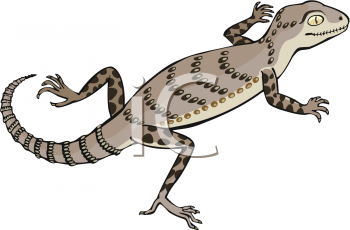 Lizard Clipart