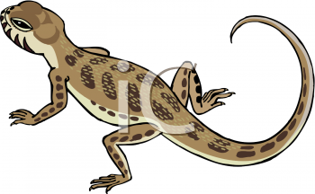 Reptile Clipart