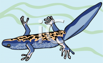 Reptile Clipart