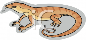 Reptile Clipart