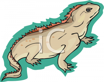 Lizard Clipart