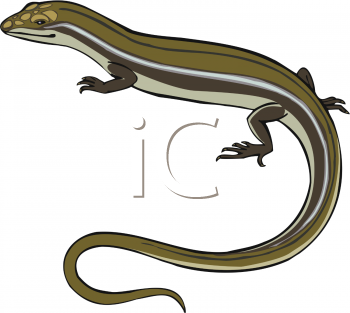 Lizard Clipart