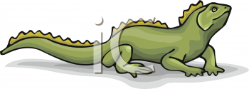 Reptile Clipart