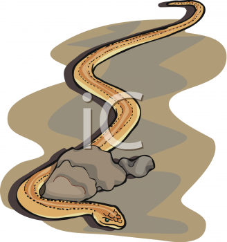 Reptile Clipart