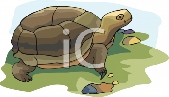 Reptile Clipart