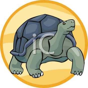 Reptile Clipart