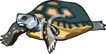 Reptile Clipart