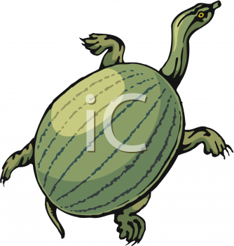 Reptile Clipart